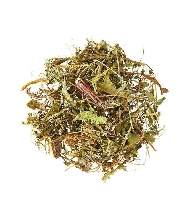 Dehner Löwenzahn-Mix, 100 G