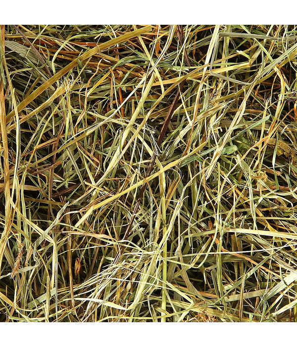 Dehner Bio Bergwiesenheu, 1,25 Kg