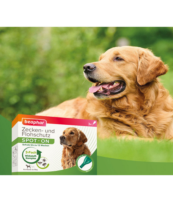 Beaphar Zecken- & Flohschutz SPOT-ON Für Hunde, 3x2 Ml