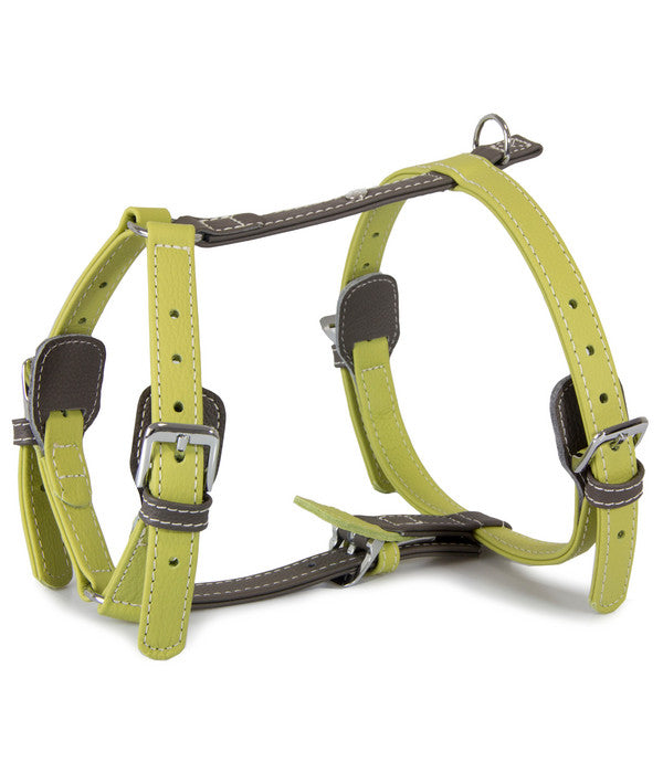Das Lederband Hundegeschirr Style Amsterdam Lime/Lava