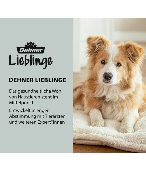 Dehner Lieblinge Fellpflege 2in1 Zupfbürste