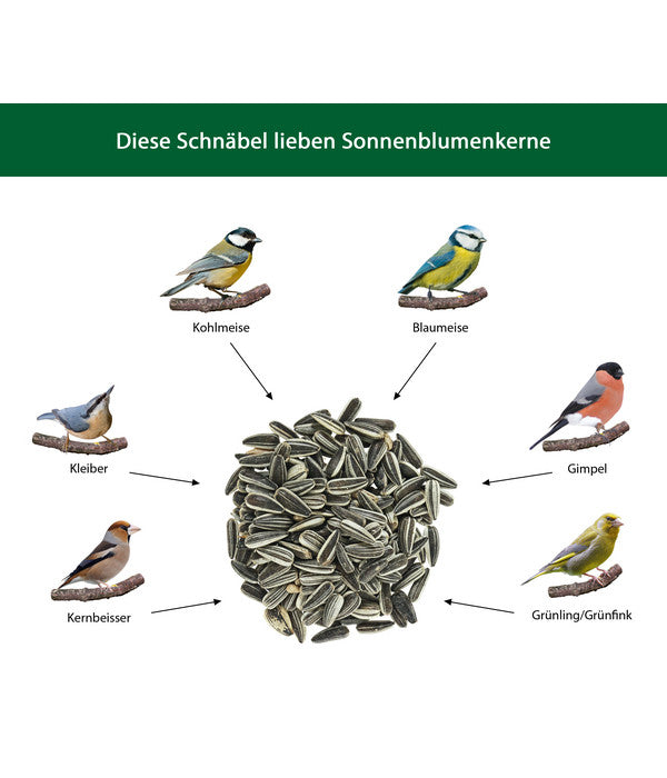 Dehner Natura Wildvogelfutter Sonnenblumenkerne, 5 L
