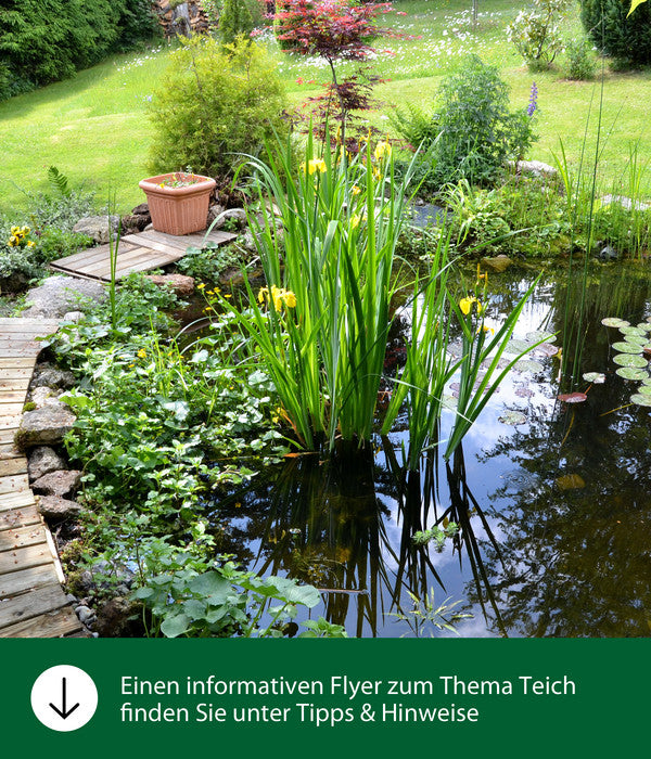 Dehner Aqua Sauerstofftabletten, 100 G