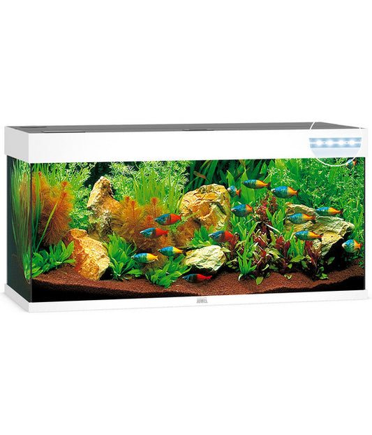  JUWEL® AQUARIUM Rio 240 LED