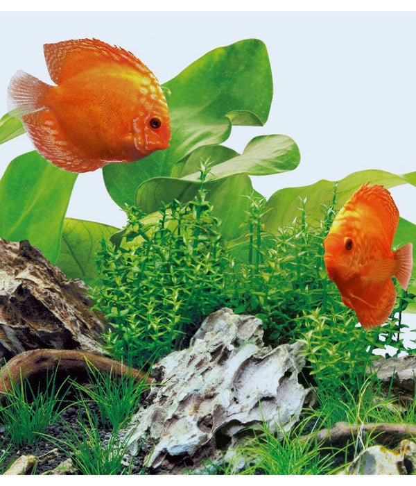  JUWEL® AQUARIUM Aquariumbeleuchtung Leuchte LED Day