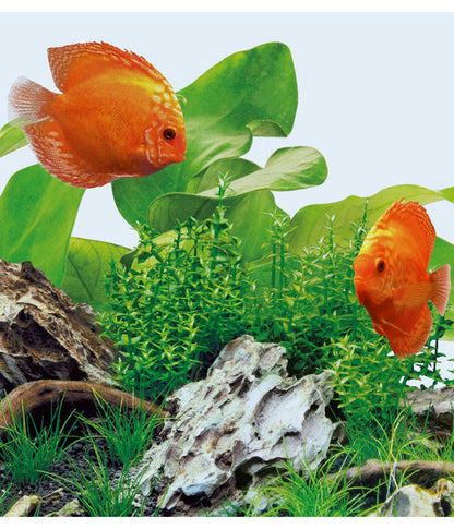  JUWEL® AQUARIUM Aquariumbeleuchtung Leuchte LED Day