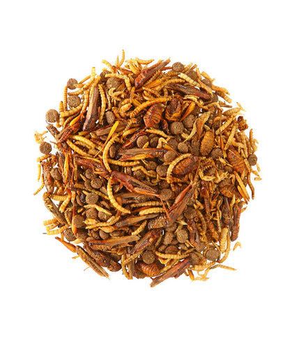  Dehner Natura Igel-Delikatesse, 100g