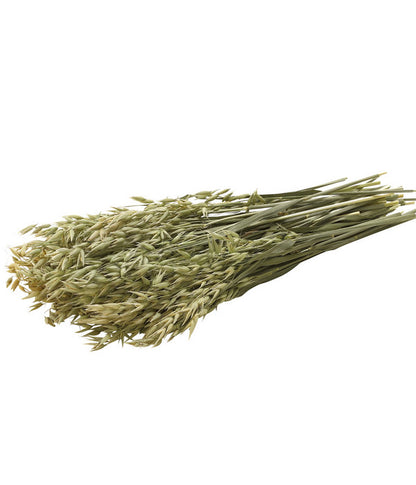  Dehner Best Nature Hafer, 75 G