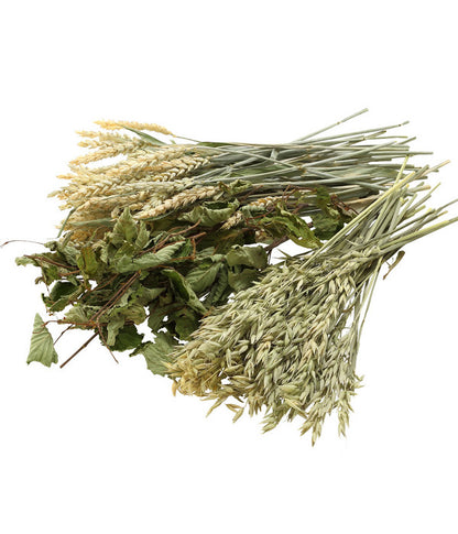  Dehner Best Nature Hafer, 75 G