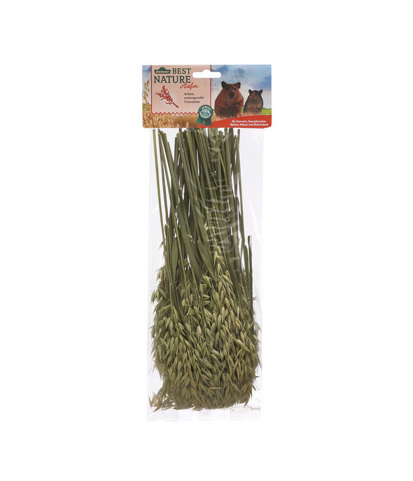 Dehner Best Nature Hafer, 75 G