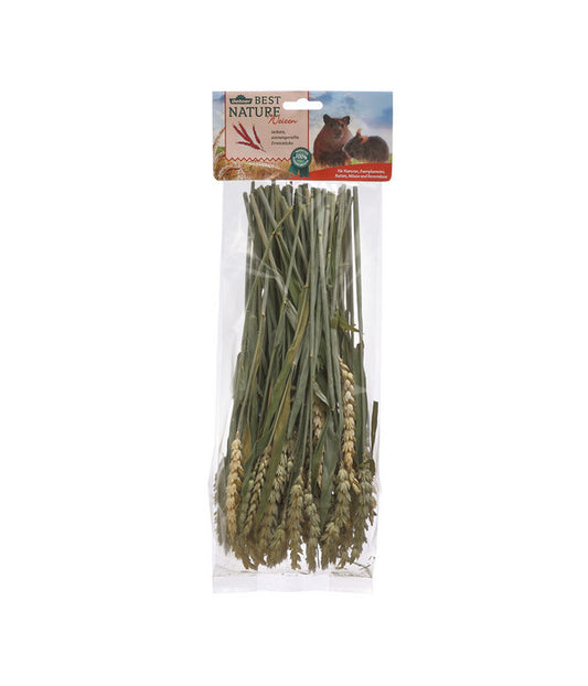  Dehner Best Nature Weizen, 75 G