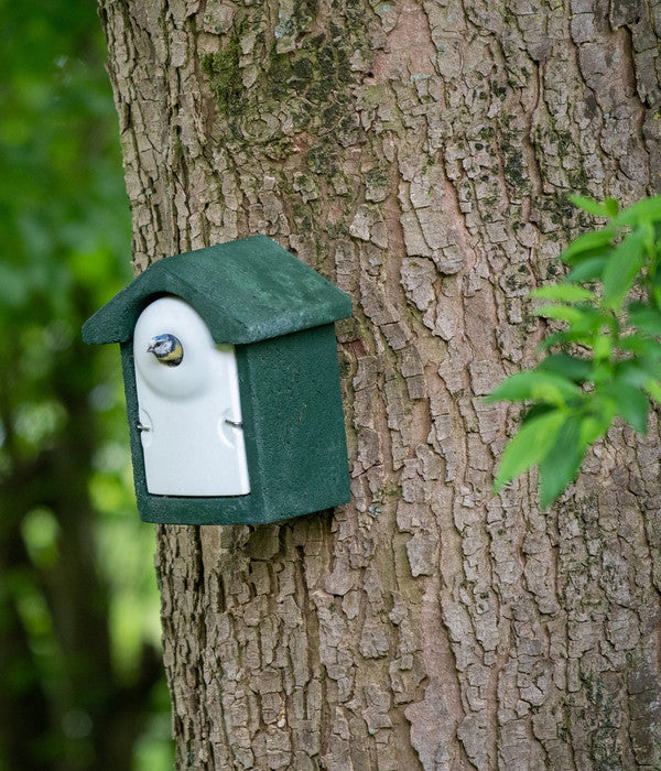  CJ Wildbird WoodStone® Nistkasten Holzbeton, Einflugloch Ca. Ø28 Mm, Grün