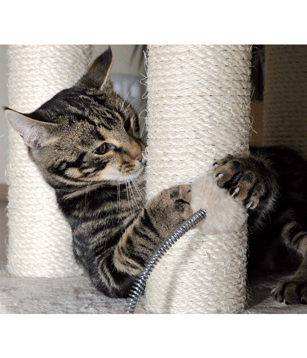  Silvio Design Kratzbaum "Kitty"