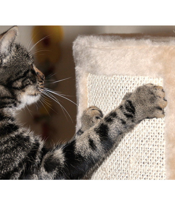  Silvio Design Kratzbaum "Kitty"