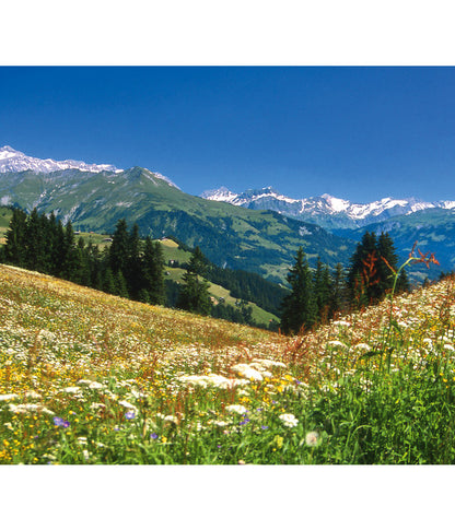  Dehner Bio Bergwiesenheu, 1,25 Kg