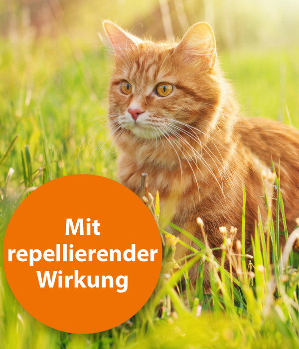  ARDAP® Zecken- Und Flohschutz Spot-On Für Katzen Bis 4 Kg, 3 X 0,4 Ml
