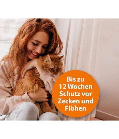  ARDAP® Zecken- Und Flohschutz Spot-On Für Katzen Bis 4 Kg, 3 X 0,4 Ml