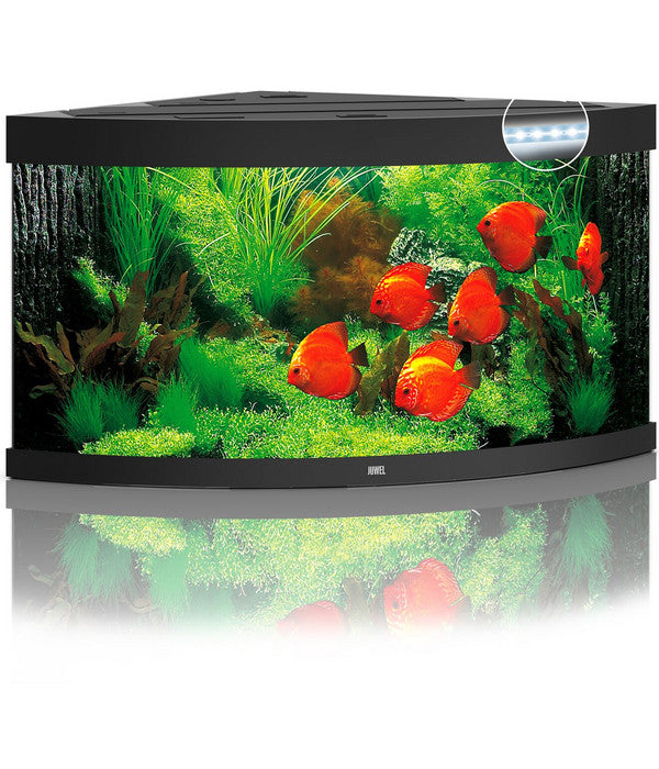  JUWEL® AQUARIUM Trigon 350 LED
