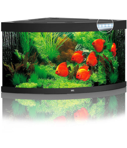  JUWEL® AQUARIUM Trigon 350 LED