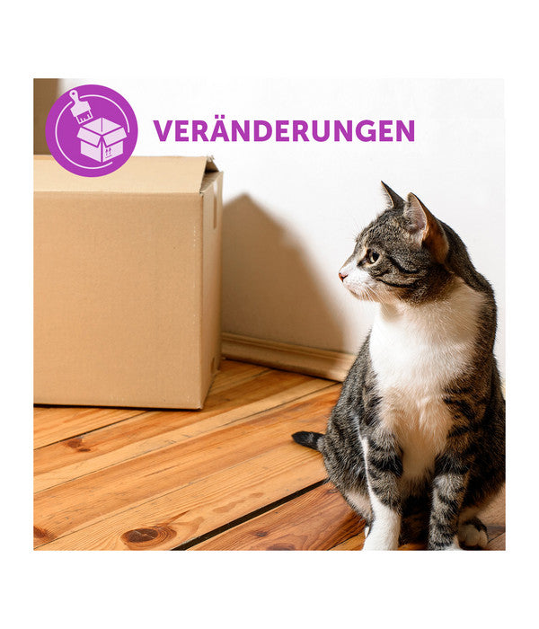  FELIWAY® Classic Verdampfer Start-Set