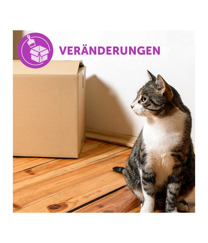  FELIWAY® Classic Verdampfer Start-Set