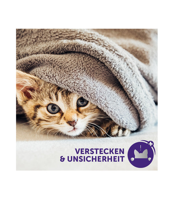  FELIWAY® Alltagshelfer Classic Start-Set