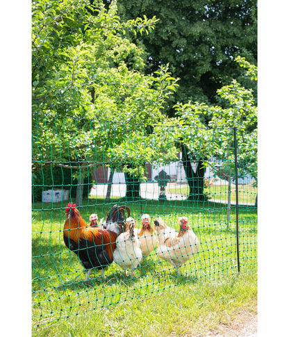  KERBL Geflügelnetz PoultryNet, Elektrifizierbar, Doppelspitze