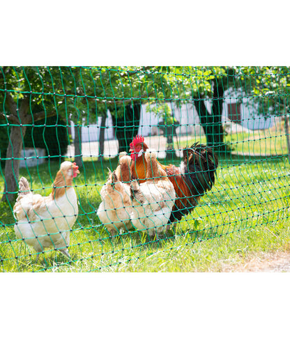  KERBL Geflügelnetz PoultryNet, Elektrifizierbar, Doppelspitze
