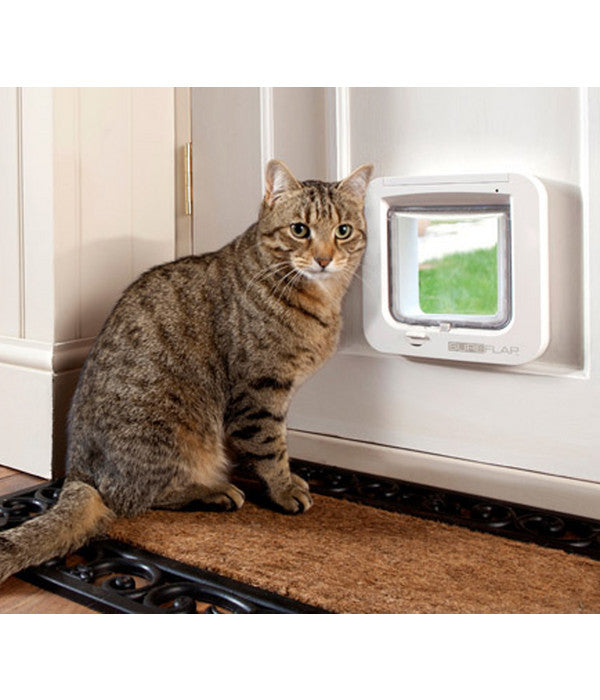  SureFlap Katzenklappe Mit Mikrochiperkennung, 21 X 21 Cm