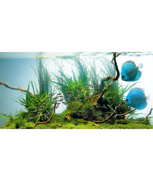  JUWEL® AQUARIUM Leuchtstoffröhren T5 HiLite Day