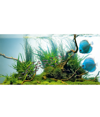  JUWEL® AQUARIUM Leuchtstoffröhren T5 HiLite Day