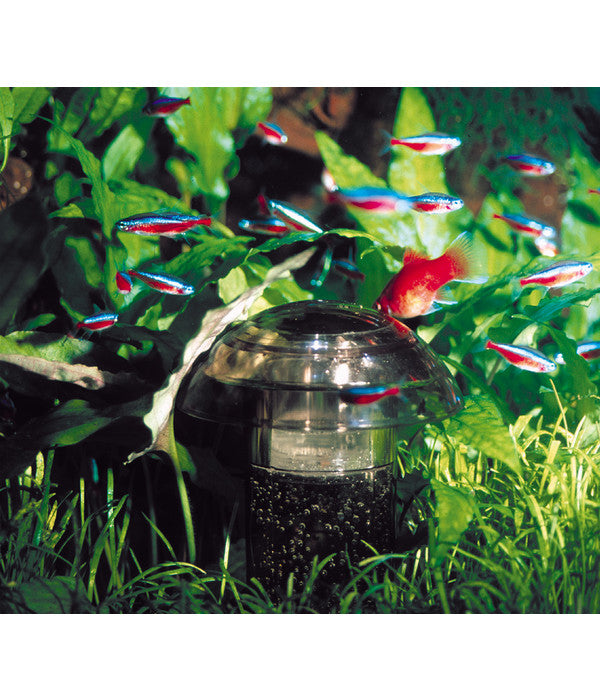  SÖCHTING OXYDATOR® Aquariumpflege Carbonator