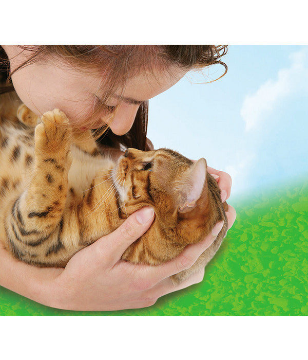  Cat's Best Original Katzenstreu