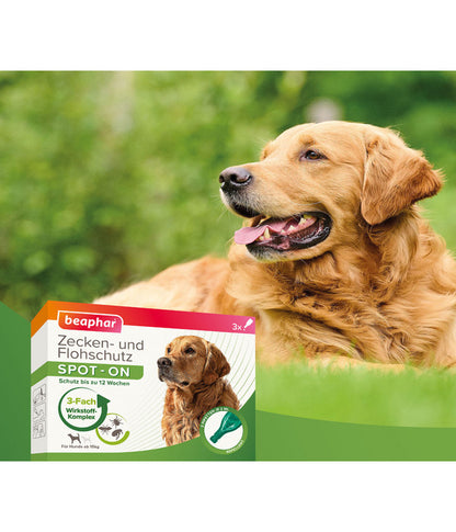  Beaphar Zecken- & Flohschutz SPOT-ON Für Hunde, 3x2 Ml