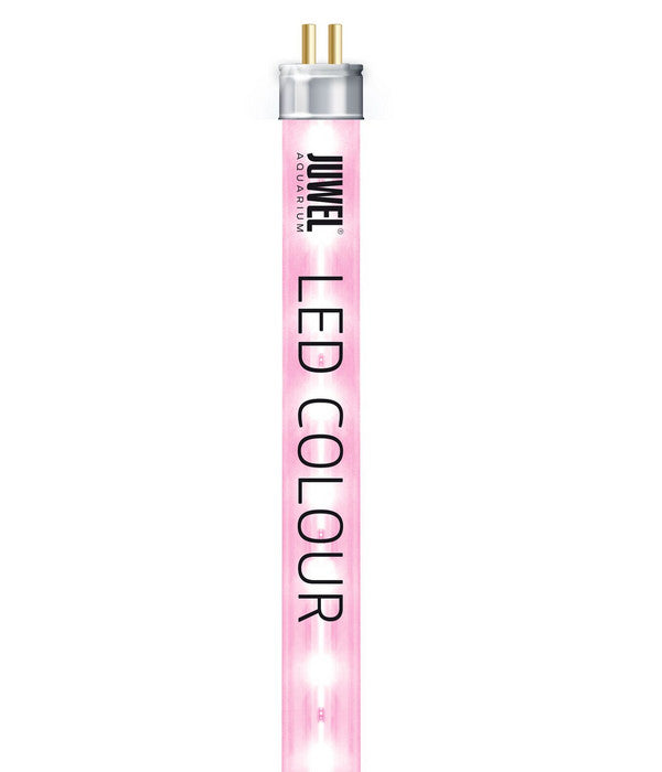  JUWEL® AQUARIUM Aquariumbeleuchtung LED Colour
