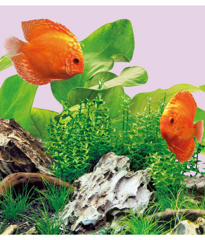  JUWEL® AQUARIUM Aquariumbeleuchtung LED Colour