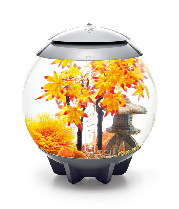  BiOrb® Aquariumdeko Decor Set 30 L Herbst