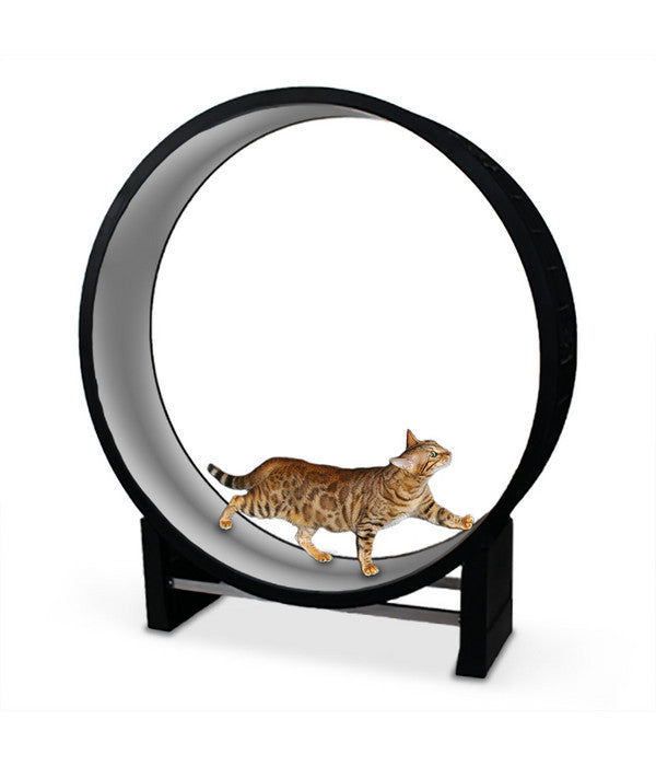  CanadianCat Company® Katzenlaufrad Cat In Motion