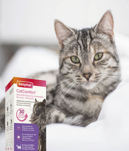  Beaphar Erziehungshilfe CatComfort Starter-Kit
