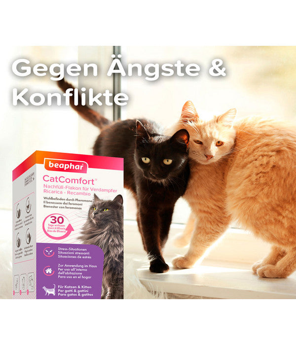  Beaphar Erziehungshilfe CatComfort Starter-Kit