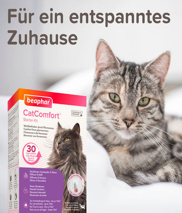  Beaphar Erziehungshilfe CatComfort Starter-Kit