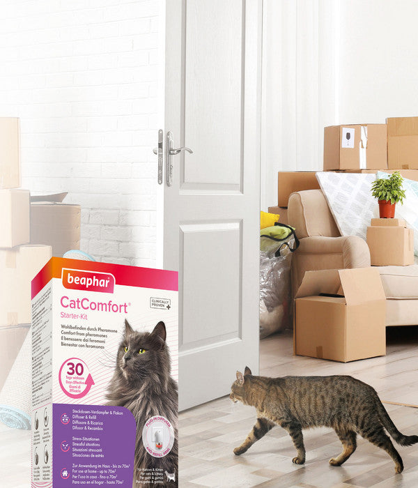  Beaphar Erziehungshilfe CatComfort Starter-Kit
