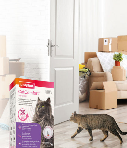  Beaphar Erziehungshilfe CatComfort Starter-Kit