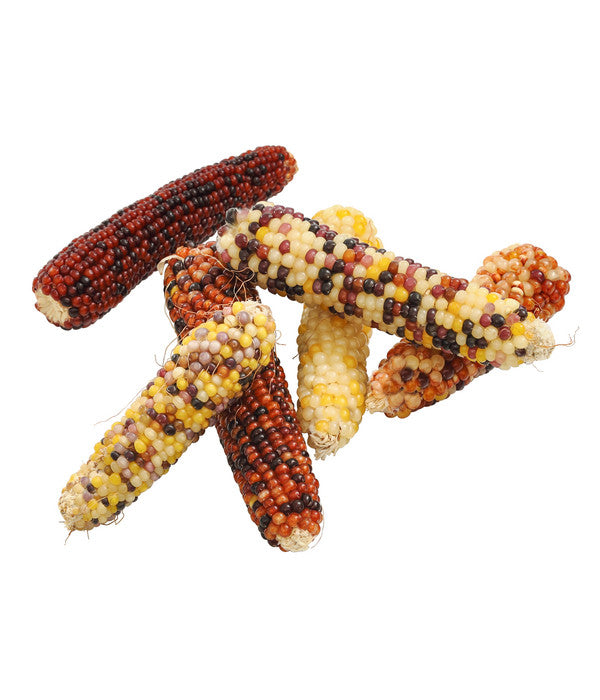  Dehner Nagersnack Mini-Popcorn Für Vögel Und Nager, 170g