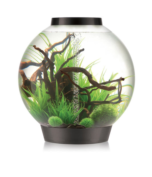  BiOrb® Aquarium CLASSIC 105 MCR