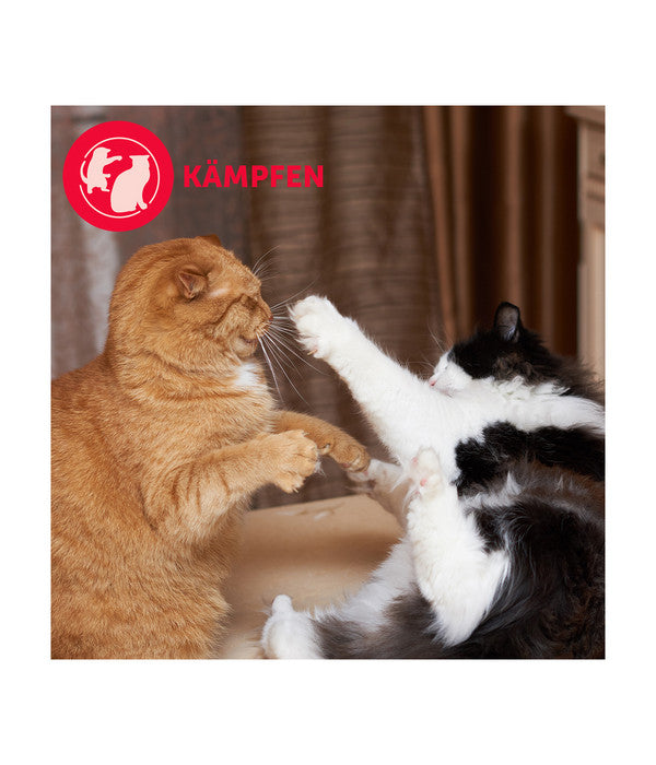  FELIWAY® Alltagshelfer Friends Start-Set