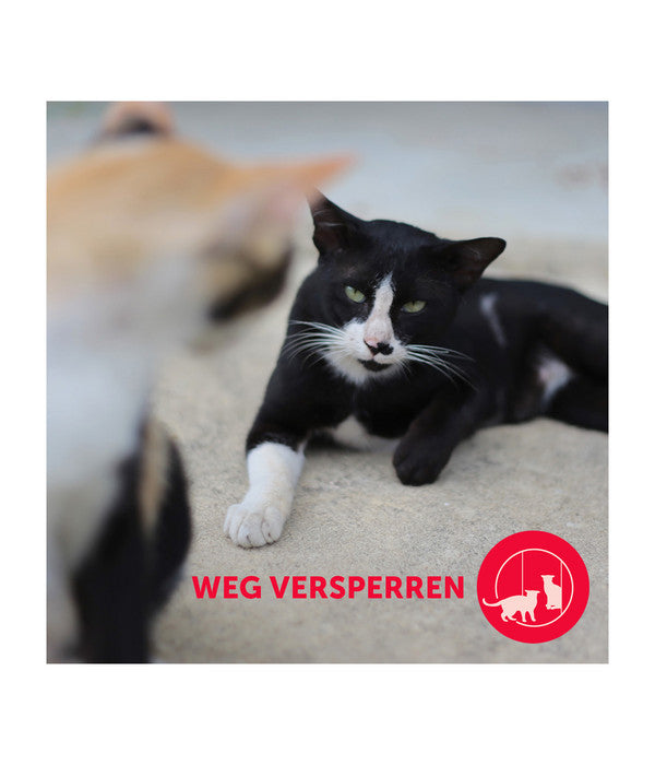  FELIWAY® Alltagshelfer Friends Start-Set