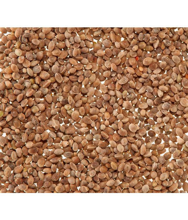  Dehner Mauserhilfe Für Großsittiche Und Papageien, 20 G