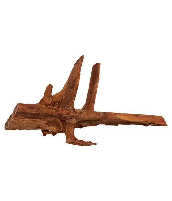  Amtra Mangrovenholz XL, 70 - 100cm
