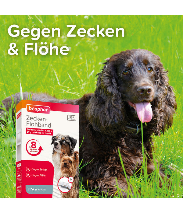  Beaphar Zecken-Flohband, 60 Cm